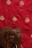 Exclusive & Traditional Pure Silk Fabric-Width-45-Inches